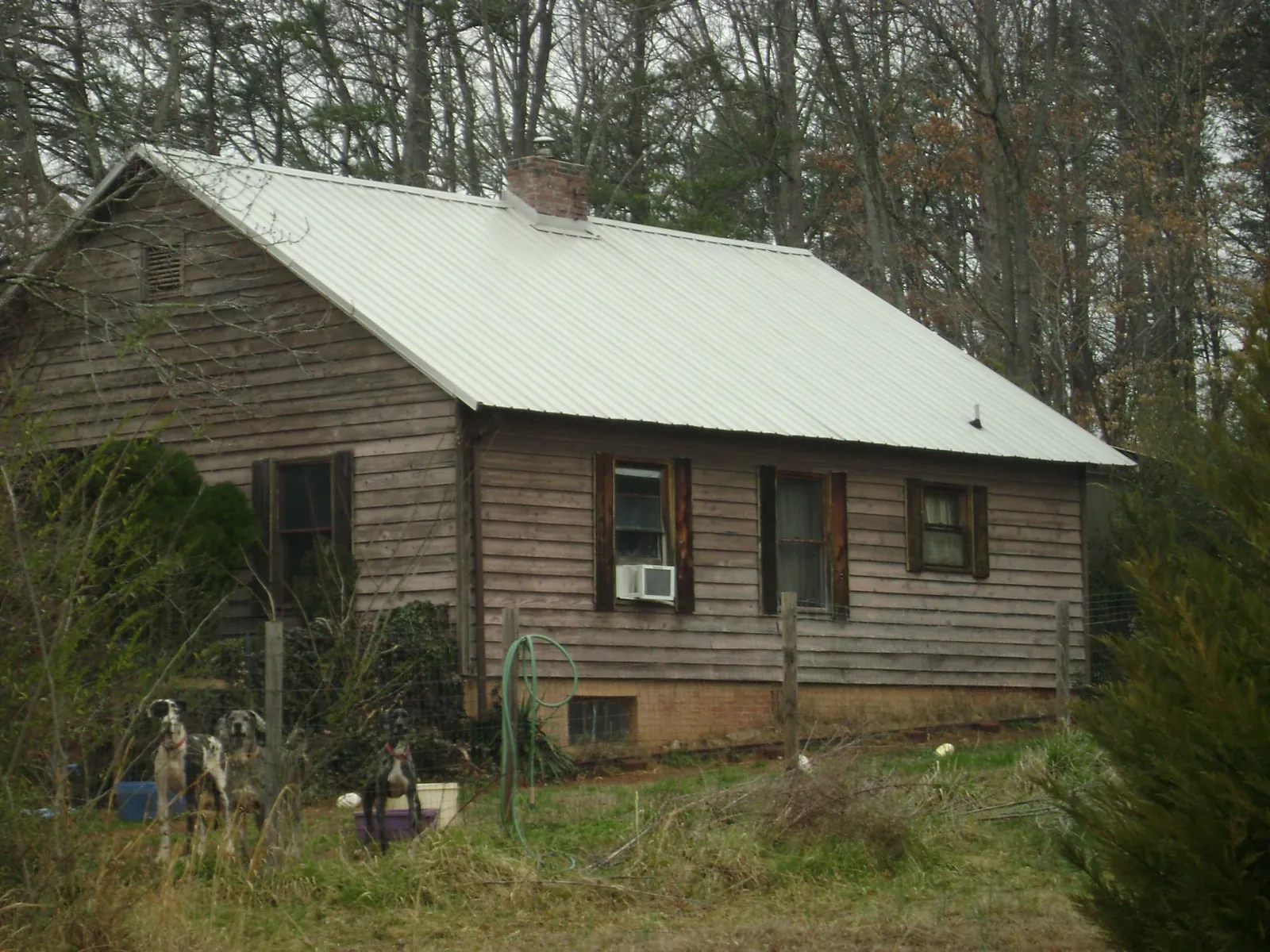 White metal roof on an old wood sided farmhouse, from a Asphalt Shingle Roof Repair job in Ridgeville